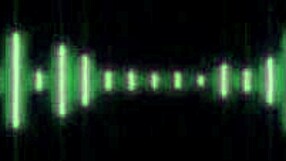 black tgirls party with bambii