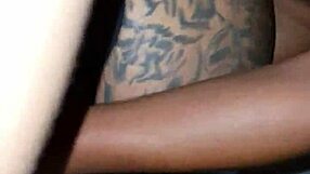 Kamilly Campos gets her panties ripped by a hungry client in rough shemale action. Her body takes every hard thrust.