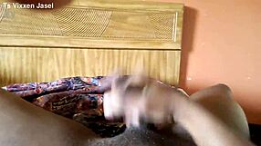 Can You Handle Ts Vixxen Jasel Cumming?