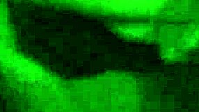 homies sucking dick part three