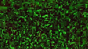 Magaly's Sea Voyeur Observation