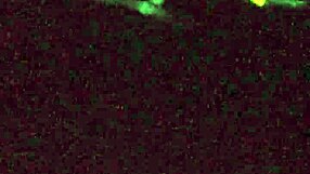 Magaly's Sea Voyeur Observation