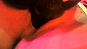 عندي لعبة جديدة، نلعب!