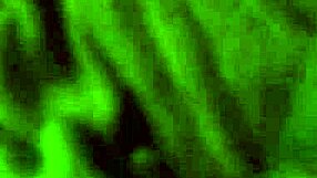 ms jersey dildo masturbating with toys