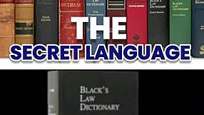 Is dayday jerking off now?