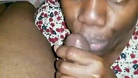 narrating the slow art of licking balls