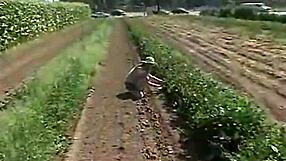 little april, hot teen slut, fingers outdoors teasingly