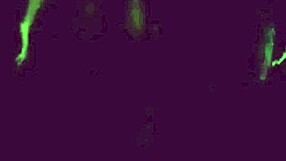 Feeling the thrill of groping in 10 petits vicieux