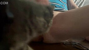 The infamous 118 series unfolds in a captivating narrative