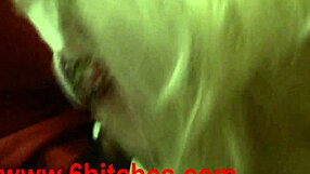 Amateurs perform oral acts in group