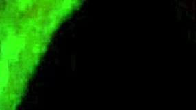 Scene 00011 with Tits and Sucking