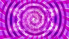 Command Training 101 Teaser