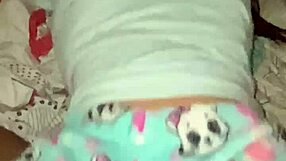 University Friend Enters Room for Anal Pussy Fucking and Cum Assfucking