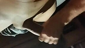 Romix Xxx Masturbates Solo With Shaved Cock And Cum.