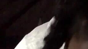 Ebony Babe Sucks Cock Wetly