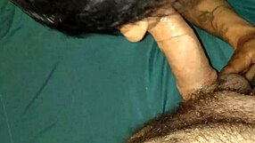 Big ass and pussy get pounded in this hot clip