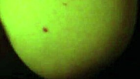 young amateur couple dives into passionate sex with muff licking and blowjobs