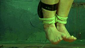 i maked that hot beauty suck my cock hard