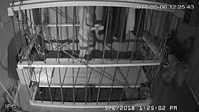 yo, caught this raw cagecam feed with bound gay dudes in wild bondage