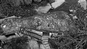 Tattooed guy fucks hairdresser at outdoor party