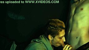 Skinny Twinks Engage in Handjob Fun After School