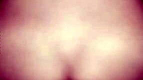 Exploring gay culture and identity in society