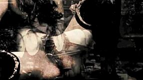 Hej, zobacz ten retro klimat pięknej i bestii! 🐾