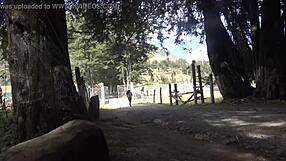 Peruvian dancers perform vibrant traditional dances with passion