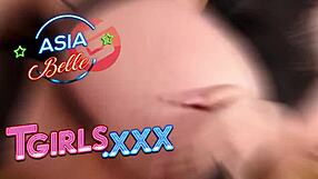 קומפילציה גרוביגירלס מציגה סצנות טראני מובילות של השבוע