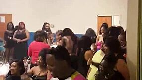 पतली स्ट्रिपर, तू BBW पैंट्स में कैसे घुसी?