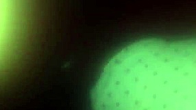 Mature woman bent over in rough scene.