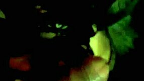 Convincing Me To Record While Sucking, Neighbors Prostitute Dianita Miel Whatsapp Profile