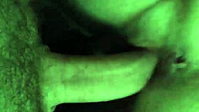 Amateurs engage in homemade sex