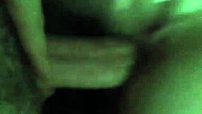 Amateurs engage in homemade sex