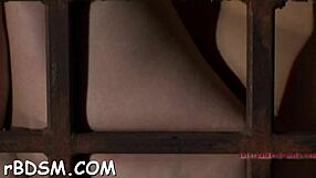 Thrall Babe Drilled Hard with Toys