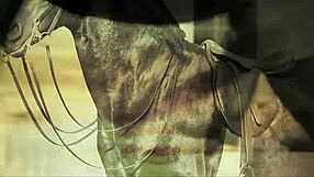 vintage babes grooming pets in retro hairy scene with natural charm