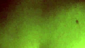 Tinder date leads to an unexpected intimate encounter