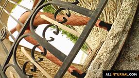 sofia dives deep into hardcore gonzo action