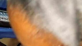 Intense Car Blowjob Action