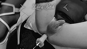 sissy slut machine fucked hard in wild trans action