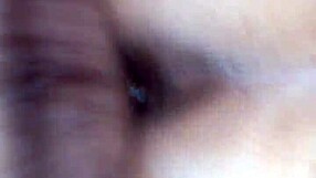 sabrosa mi lady, how tasty are you feeling today?