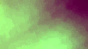 An amateur captures everyday moments in a simple story.