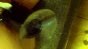 Homemade couple experiments with toys in fun setup.