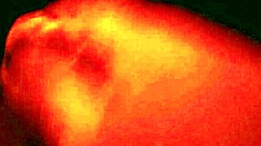 Ifoslave Cums On Request