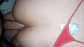 my sister-in-law sucks my dick every time we're alone