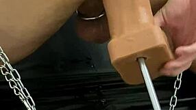 why does mistress fuck slave with wild sex machines?