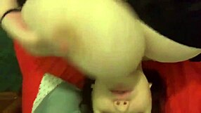 Ebony Babe Toys Herself On Webcam