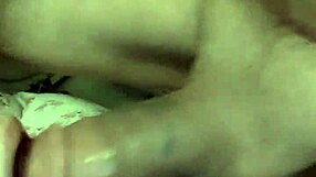 personal verification process for amateurs