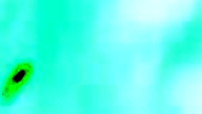 Young Dude Busts Old Pussy Wide Open! So Nasty