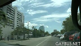 Gay sex video featuring hardcore homo action